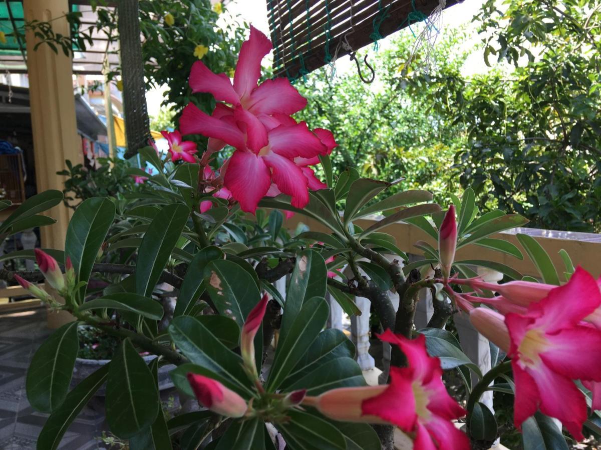 Q' Villa Garden Homestay Hue Dış mekan fotoğraf